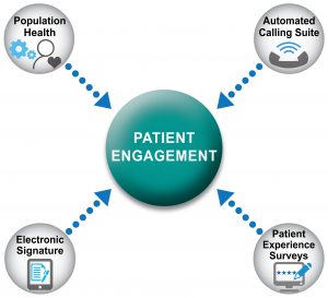 Patient Identification Chart